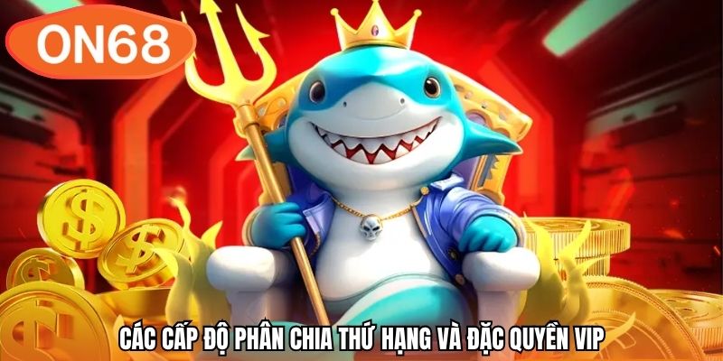 Các cấp độ phân chia thứ hạng và đặc quyền VIP