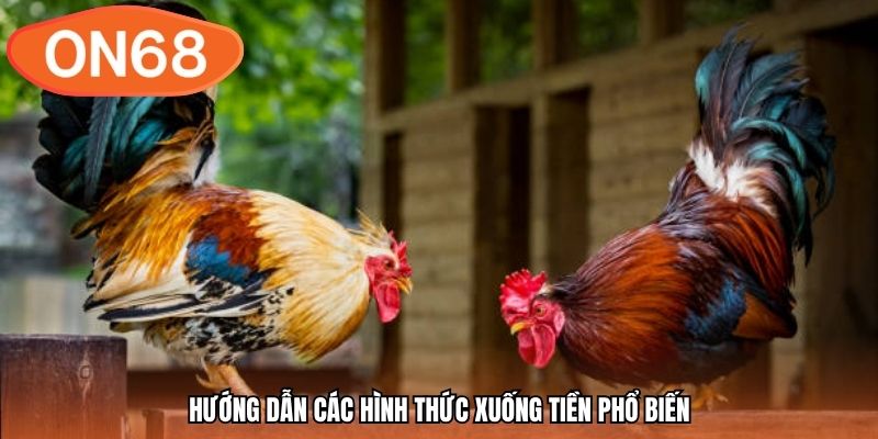 Hướng dẫn các hình thức xuống tiền phổ biến